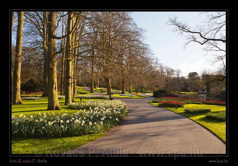 Keukenhof Hollandia 117.jpg